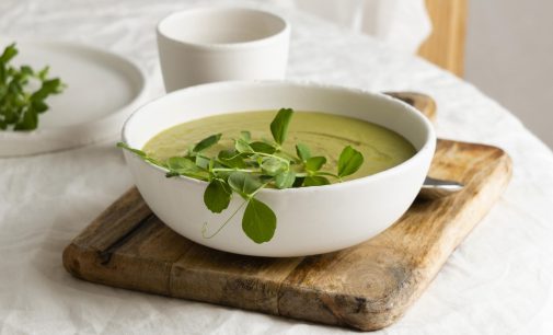 Cold Zucchini Soup — A Quiet Little Masterpiece for Hot Days