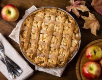 Authentic German Apple Cake