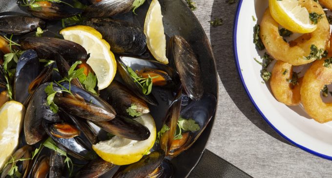 Cioppino Seafood – Gritty, Bold, Straightforward